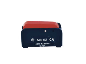 MICROINTERRUPTOR MS62 PIZZATO