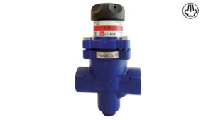 RIDUTTORE PRESSIONE VAPORE BDV25