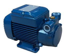 ELETTROPOMPA PEDROLLO PQm 81-PRO 230V Kw. 0,45 Hp. 0,60  1/2" - 1/2"